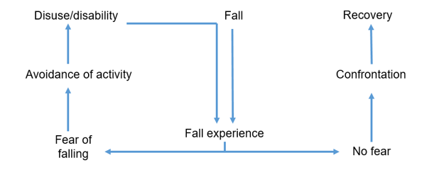 Fear avoidance model (Falls).PNG