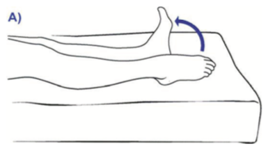 File:Plantar flexion and dorsiflexion of the feet.png