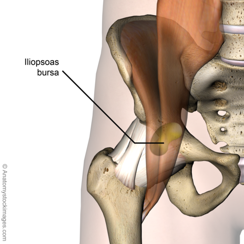 bursita iliopsoasa osteocondroză și durere în articulațiile genunchiului
