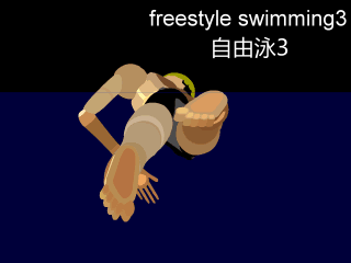 Freestyle swimming3.gif