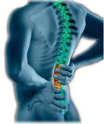 flex insole back pain