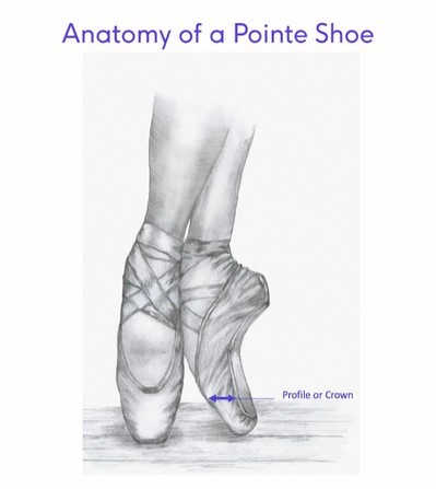 File:Anatomy of a Pointe Shoe3.jpg