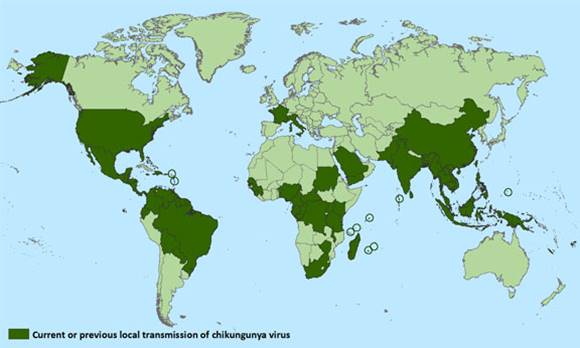 Map of local Transmission of Chikunguyna virus as of March, 2015.