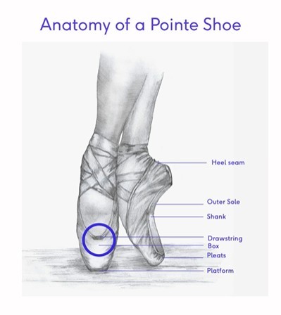 File:Anatomy of a Pointe Shoe.jpg