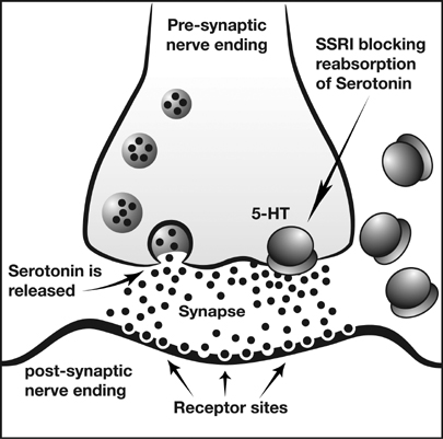 SSRI and Serotinin