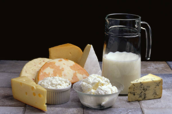 File:Dairy-Products.jpg