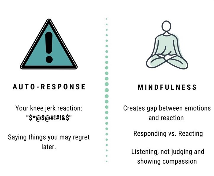 File:Autoresponse vs mindful response.jpg