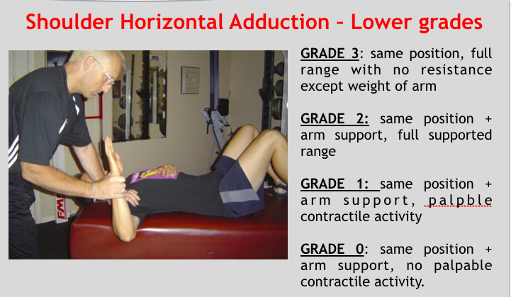 File:Shoulder horizontal abduction lower grades.png