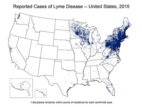 File:2015 Lyme disease map.jpg