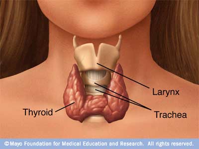 Thyroid Cancer Physiopedia