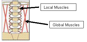 Local vs global ms.png