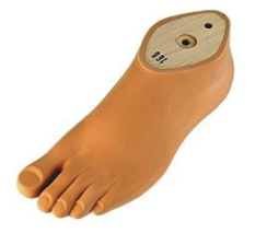 File:Prosthetic feet.png
