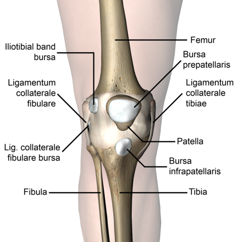 bursita prepatelara articulațiile la genunchi și coatele doare