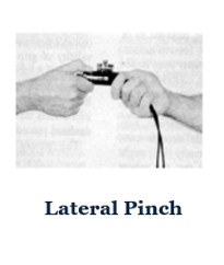 File:Lateral Pinch.png