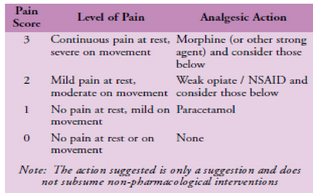 Pain scale and WHO pain ladder