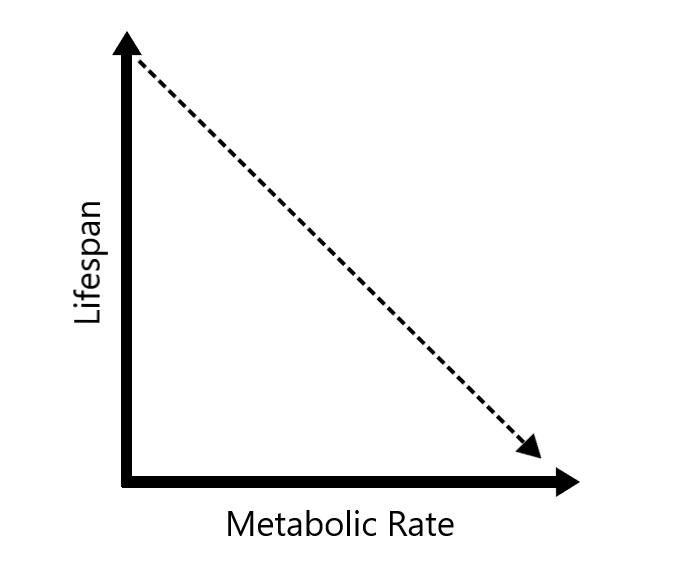 File:Rate of living.png