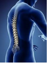 File:Spinal assessment 3.png