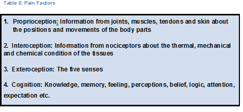 File:Table 6. Pain Factors.png