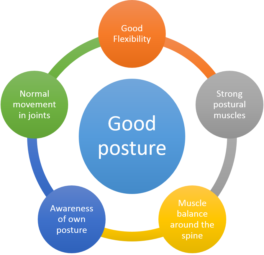 Good posture components.png