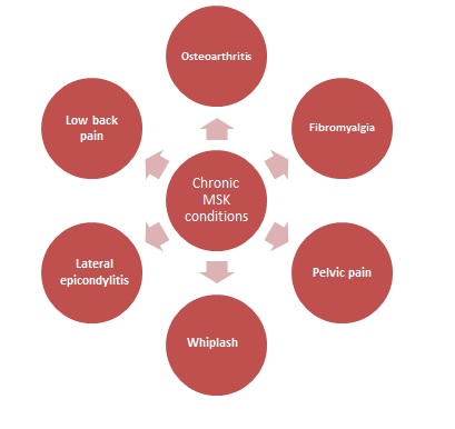 Figure 1 showing examples of chronic MSK conditions that have been shown to benefit from PNE