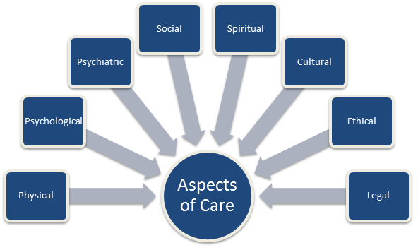 File:Aspects of Care.png