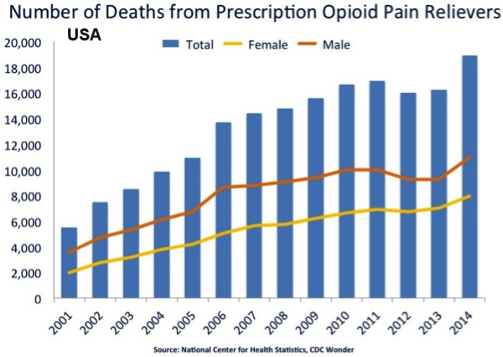 File:NID Opioid Deaths.png