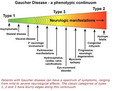 Gaucher Disease Histology