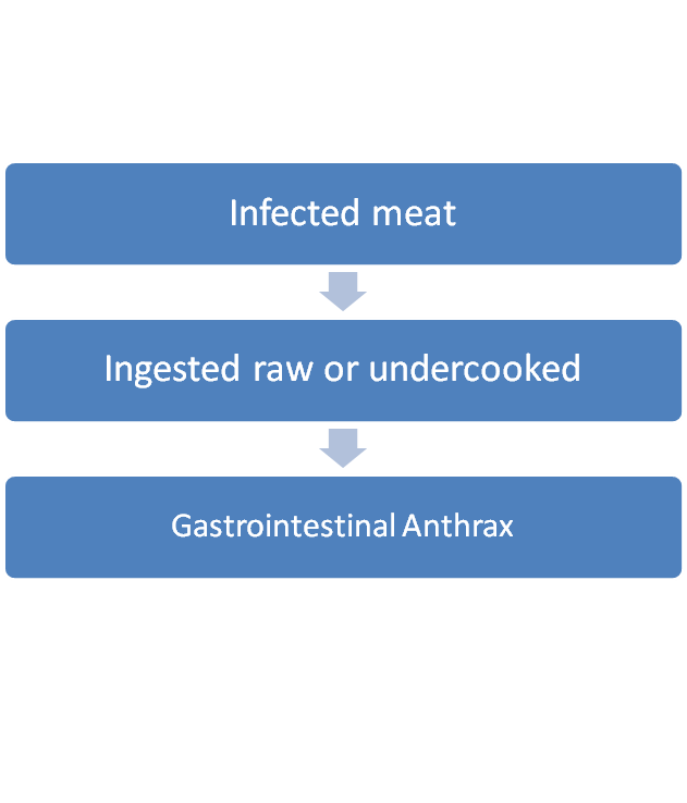 Gastrointestinal Anthrax.png
