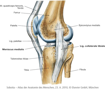 Articulația instabilă a genunchiului