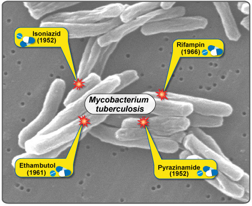 File:Treatment of Tuberculosis (TB) for Drug-Sensitive TB (5102889450).jpeg