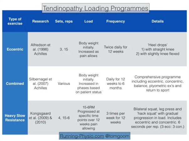 File:Tendinopathy Loading programmes.png