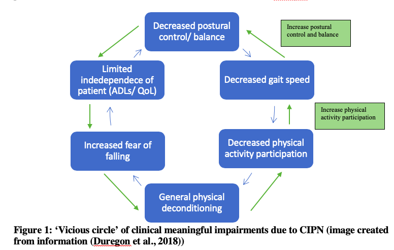 File:Viscious circle of clinical meaningful impairments due to CIPN.png