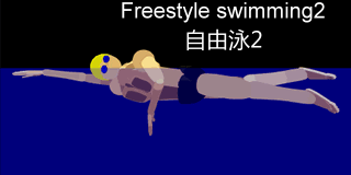 Freestyle swimming2.gif