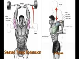 File:Seated triceps extension.jpeg