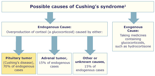 case study 77 cushing syndrome