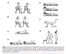 Figure 7: several back extensor exercises