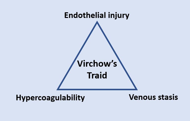 File:Virchow's triad.jpeg