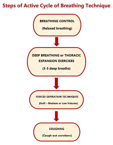 The Active Cycle of Breathing Technique
