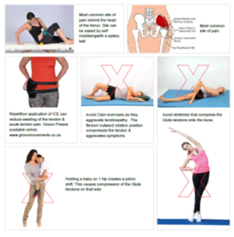 File:Infographic - Groovi Physio Software.png