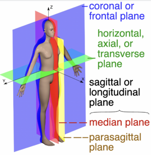 Range of Motion - Physiopedia