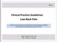 Low back pain guidelines.png