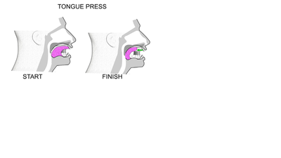 Tongue Press.png