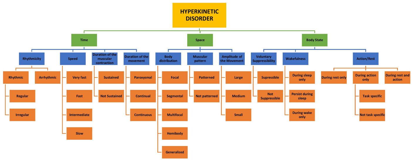 Hyperkinetic disorder relationship chart.jpg