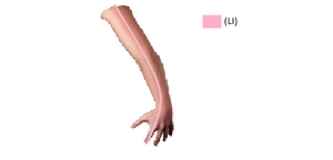 Lateral arm1.png