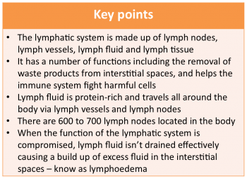 Lymphatic system key points.png