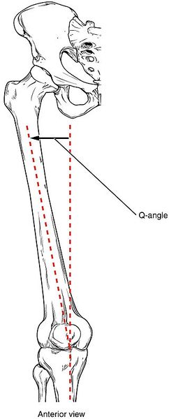 File:Q angle of knee.jpg