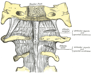 artroza articulație axială atlanto)