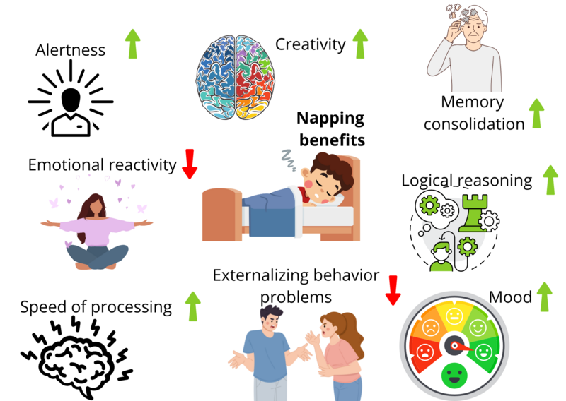 File:Cognitive benefits of napping.png