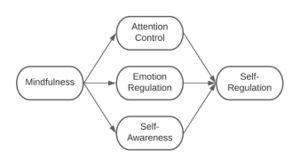 Components of Mindfulness.jpeg