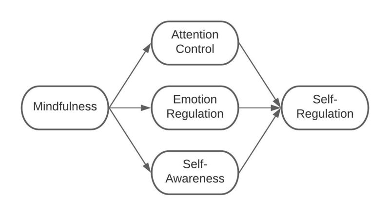 File:Components of Mindfulness.jpeg